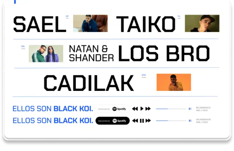 Black Koi project preview